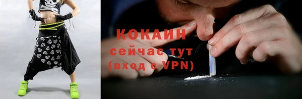 прущий лед Алзамай
