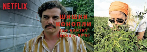 прущий лед Алзамай