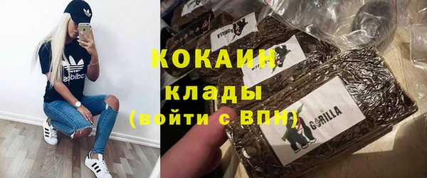 прущий лед Алзамай