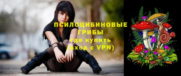 PSILOCYBIN Абаза