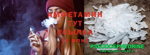 прущий лед Алзамай
