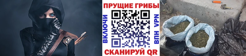 Галлюциногенные грибы прущие грибы  Тогучин 